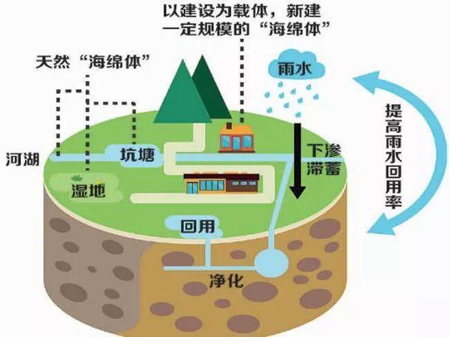 雨水收集利用系統(tǒng)都被應(yīng)用到什么領(lǐng)域？