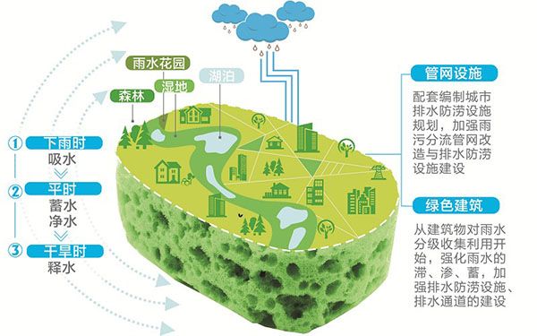 我國許多城市迫切需要建設海綿城市